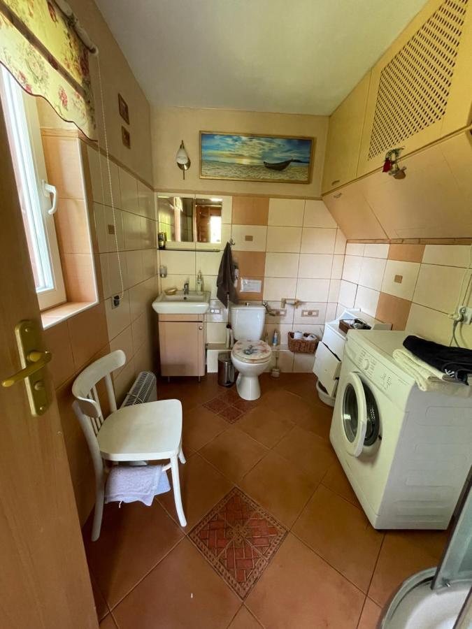 Dom Na Skraju Puszczy Bialowieskiej Narewka エクステリア 写真