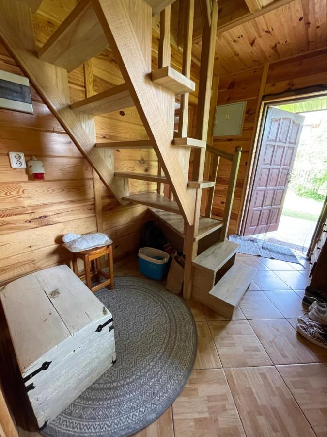 Dom Na Skraju Puszczy Bialowieskiej Narewka エクステリア 写真